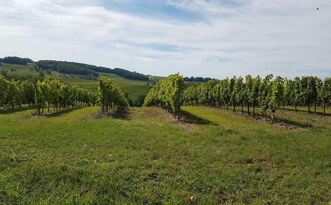 Domaine Et Manoir Du Picaud Βίλα Monestier  Εξωτερικό φωτογραφία
